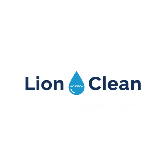 lionclean.be